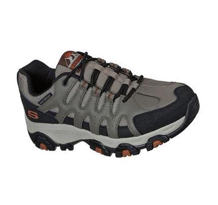 Férfi Skechers Terrabite - Dellga Túracipő Barna Fekete | HU3708C