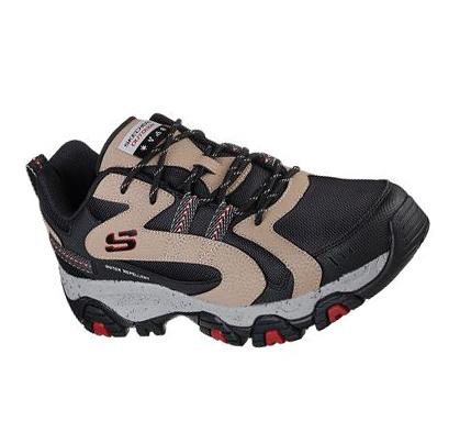 Férfi Skechers Terrabite - Trailborn Túracipő Fekete Barna | HU38333