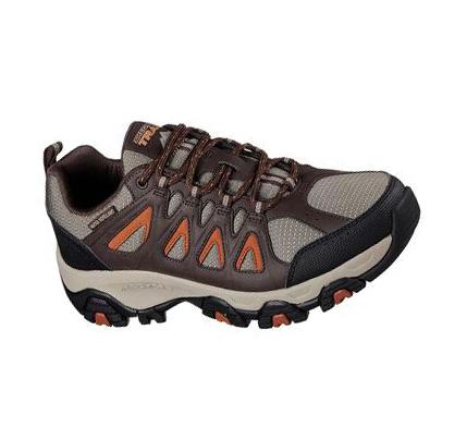 Férfi Skechers Terrabite Túracipő Barna Narancssárga | HU3858S